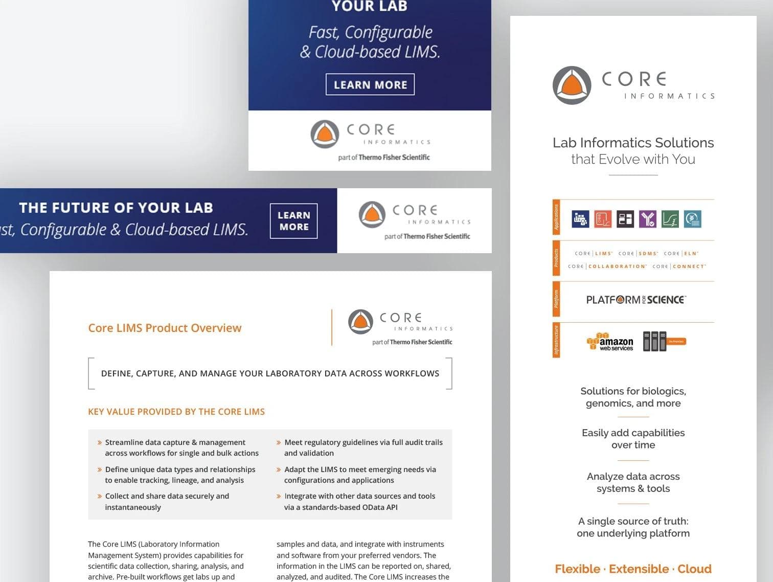 Case study proof